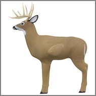 Big Shooter Buck